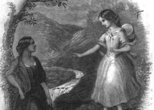 Wide, Wide World: A Book Review